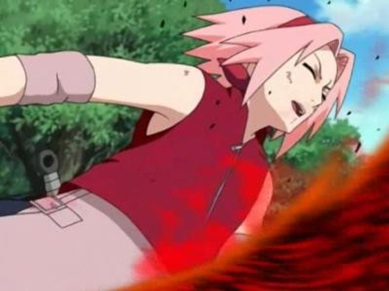 As Lágrimas de Sakura