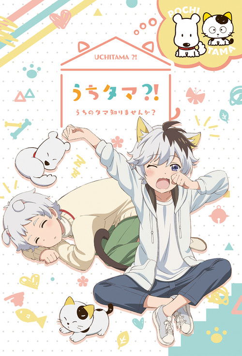 Uchitama! Have you seen my Tama?